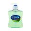 Picture of CAREX HAND WASH ALOEVERA 250ML