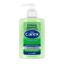 Picture of CAREX HAND GEL ANTIBACTERIAL ALOE VERA (300ML)