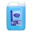 Picture of CAREX HANDWASH PROFESSIONAL - ORIGINAL 5LTR